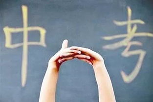 教育咨询 为您详细解读中考招生政策与办公服务